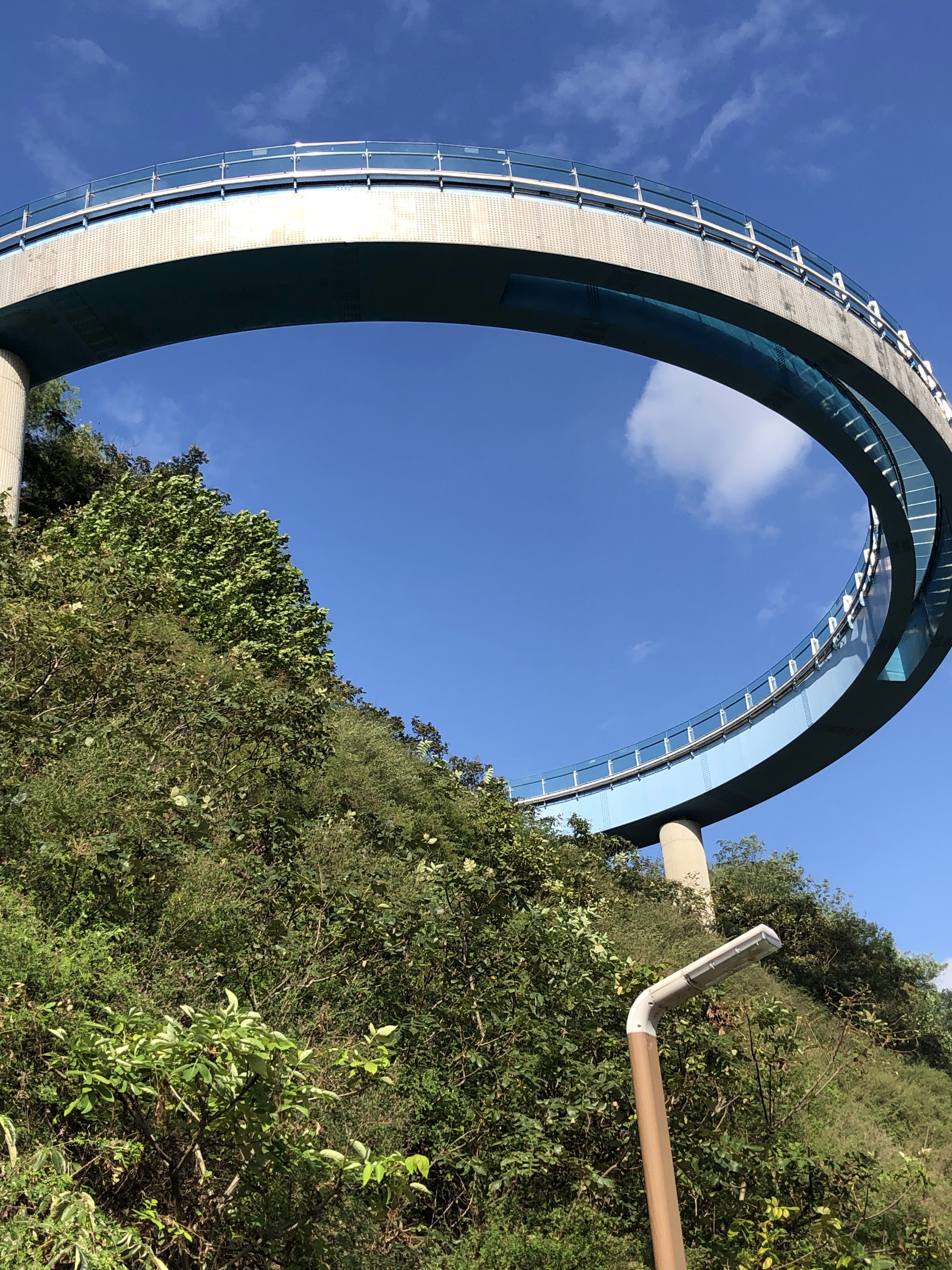 从步道回望观景台，玻璃圆盘悬于峡谷之上。